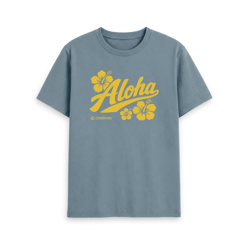 Stone Blue Printed T-shirt Front