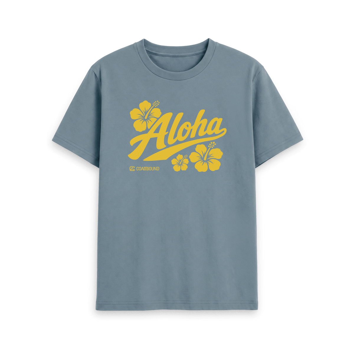Stone Blue Printed T-shirt Front